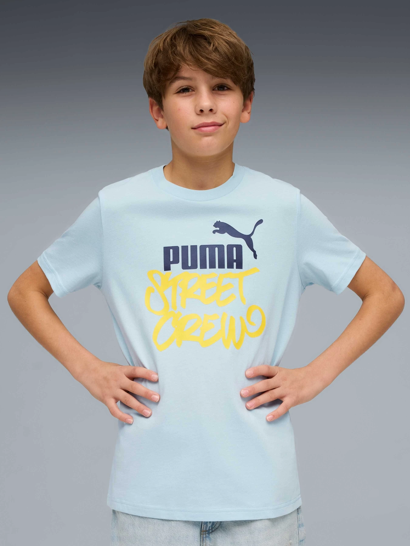 Футболки і поло PUMA Mid90s Graphic Tee модель 692118 Фото