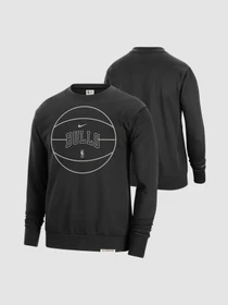 Худи и свитшоты NIKE Chicago Bulls Standard Issue модель FB3759-010 Фото