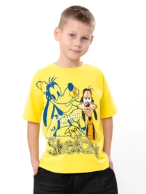 Футболки и поло Носи своє модель 6414-001-33-4-4-limon-goofy Фото
