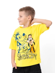 Футболки и поло Носи своє модель 6414-001-33-4-4-limon-goofy Фото