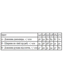 Худі та світшоти Носи своє модель 6363-036-33-2-5-chornij-zaq Фото