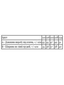 Футболки и поло Носи своє модель 6414-001-33-4-chornilxno-sinj-open Фото