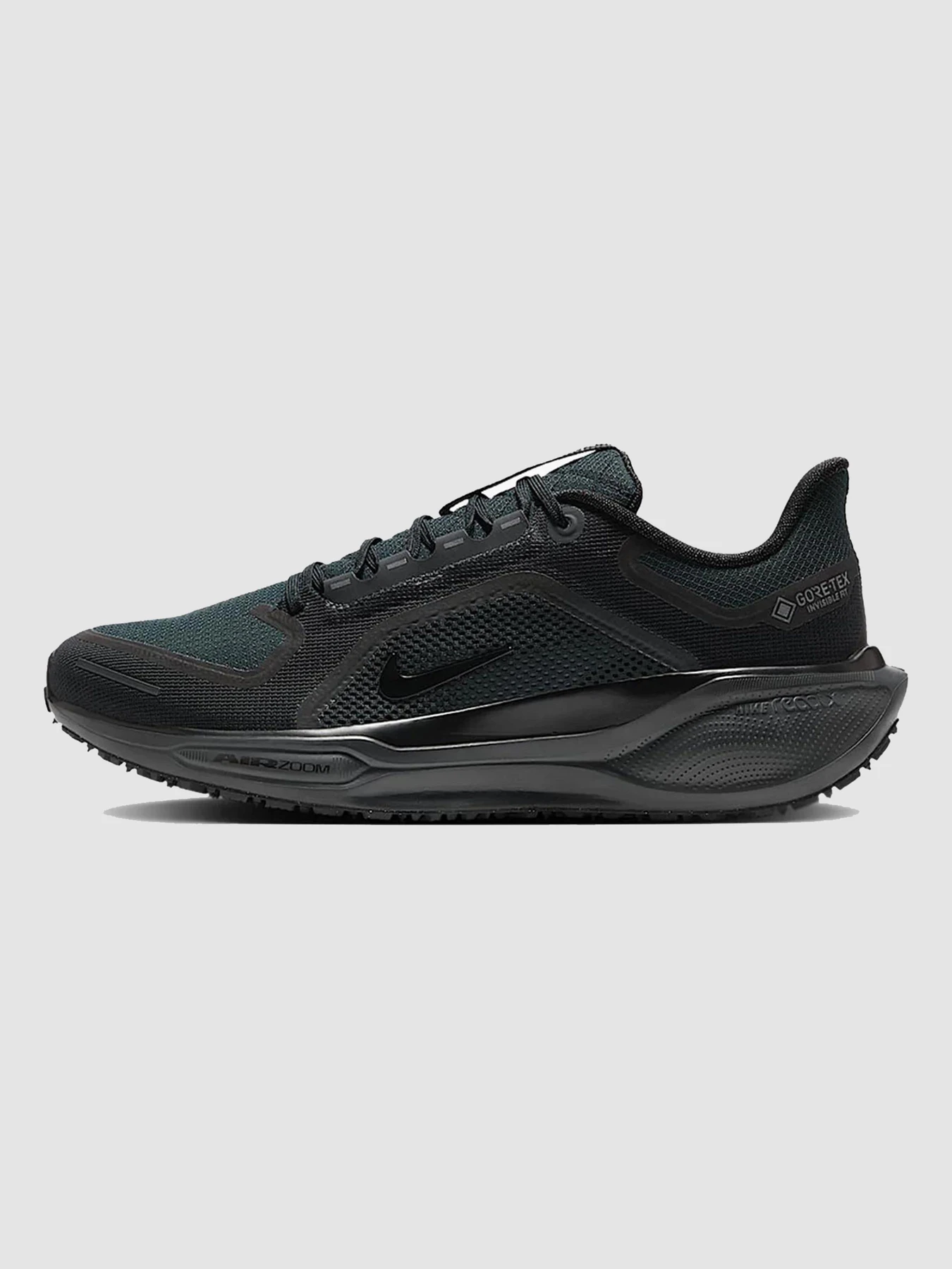 Кроссовки NIKE Air Zoom Pegasus 41 Gtx модель FQ1356-001 Кроссовки NIKE Air Zoom Pegasus 41 Gtx модель FQ1356-001 Фото