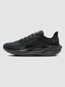 Кроссовки NIKE Air Zoom Pegasus 41 Gtx модель FQ1356-001 Фото