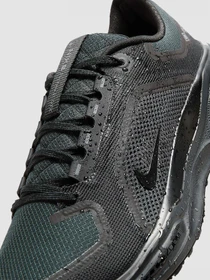 Кроссовки NIKE Air Zoom Pegasus 41 Gtx модель FQ1356-001 Фото