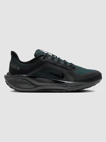 Кроссовки NIKE Air Zoom Pegasus 41 Gtx модель FQ1356-001 Фото