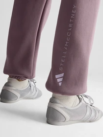 Брюки Adidas модель JZ0664 Фото