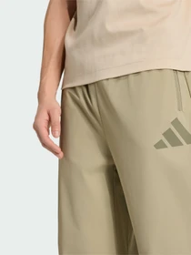 Штани Adidas ZNE модель KE6555 Фото