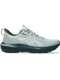 Кроссовки Asics Gt-1000 модель 1011C131-300 Фото