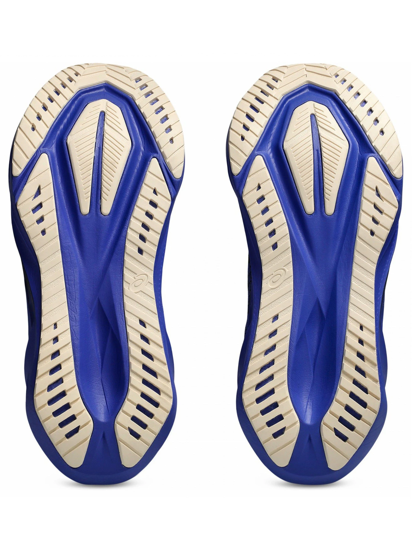 Кроссовки Asics Novablast модель 1011B974-004 Кроссовки Asics Novablast модель 1011B974-004 Фото