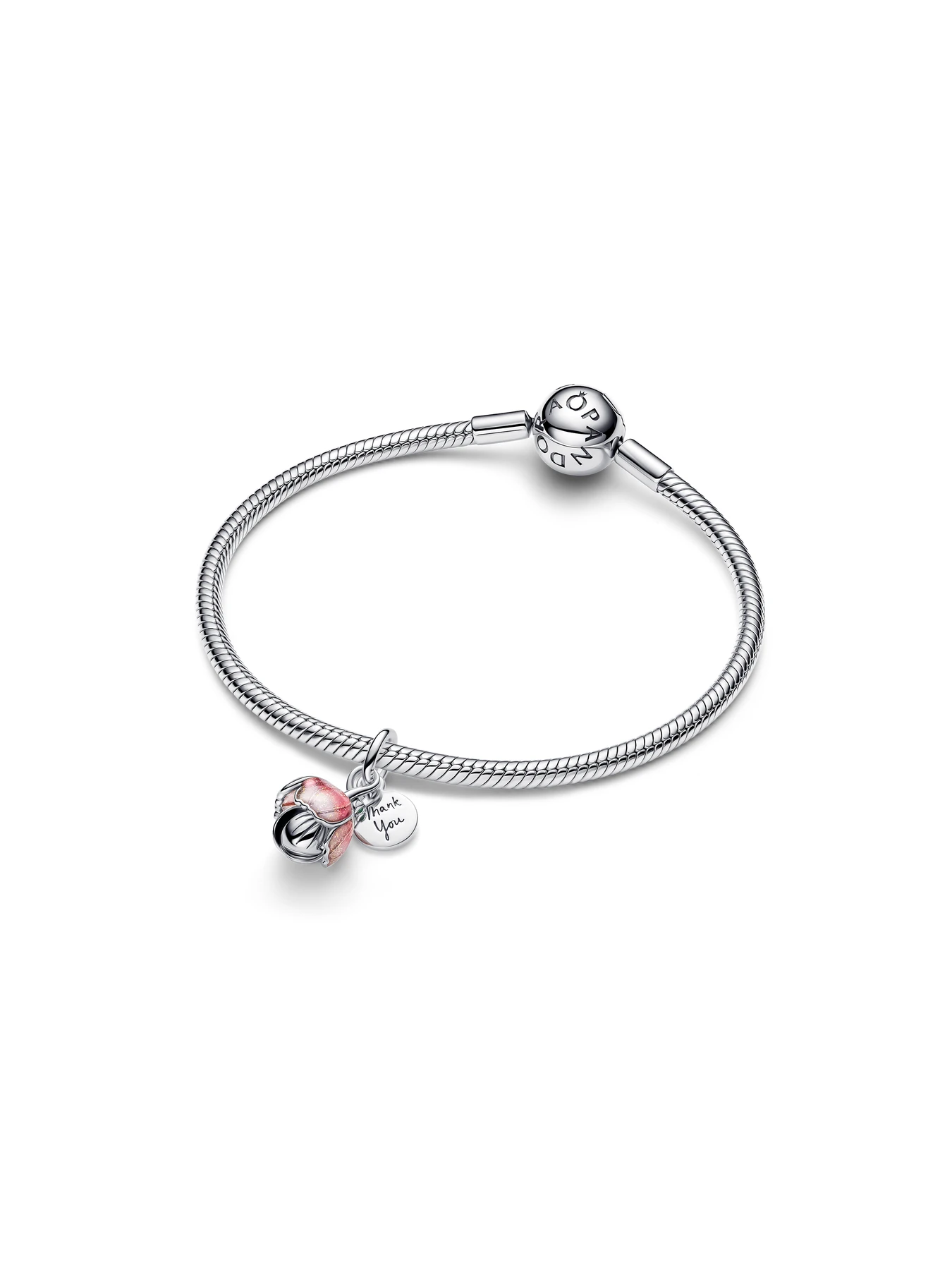 Шармы-подвески PANDORA модель 764453C01 Фото