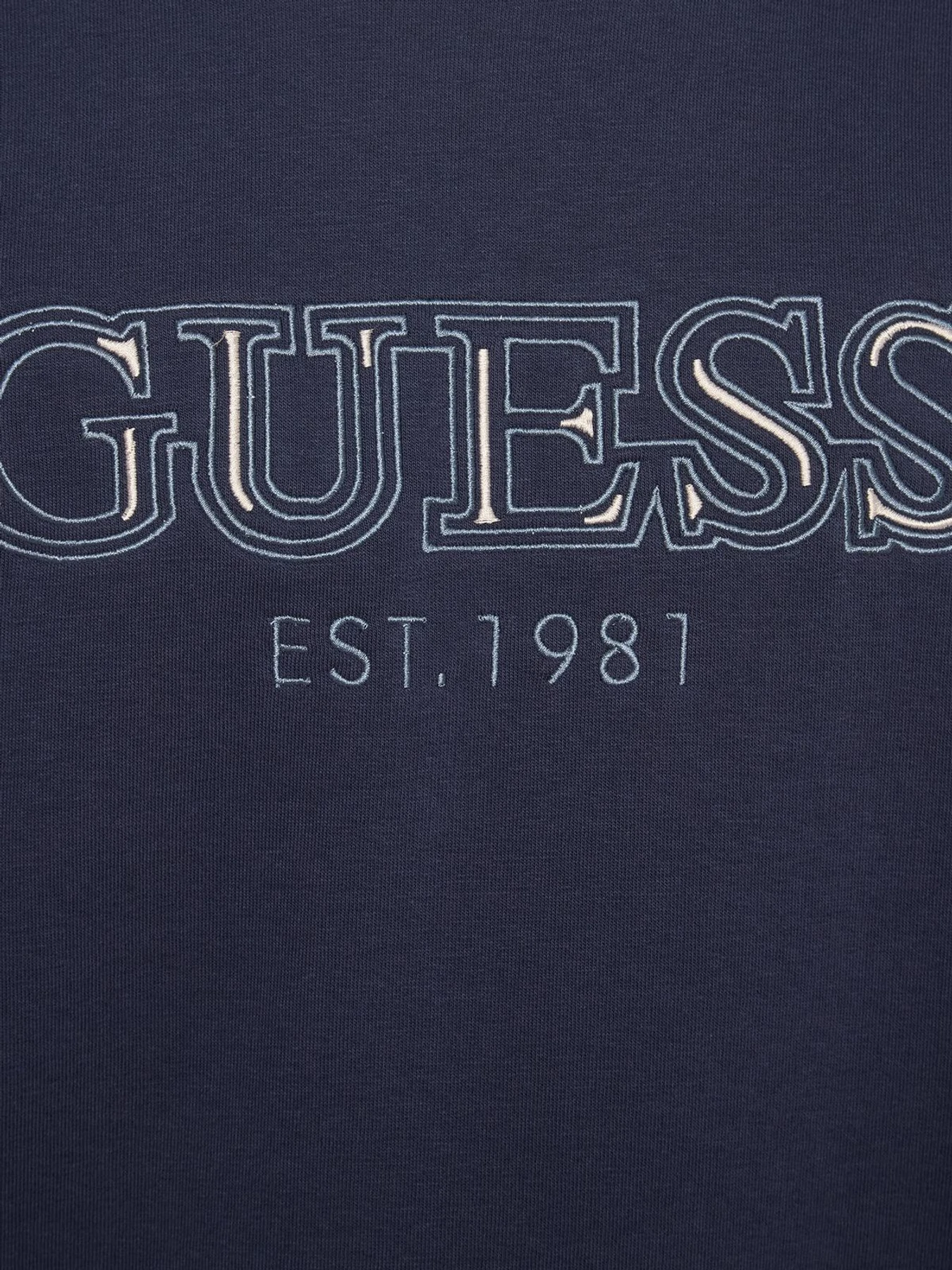 Худи и свитшоты GUESS модель M5BQ08.K9Z21;G7V2 Худи и свитшоты GUESS модель M5BQ08.K9Z21;G7V2 Фото