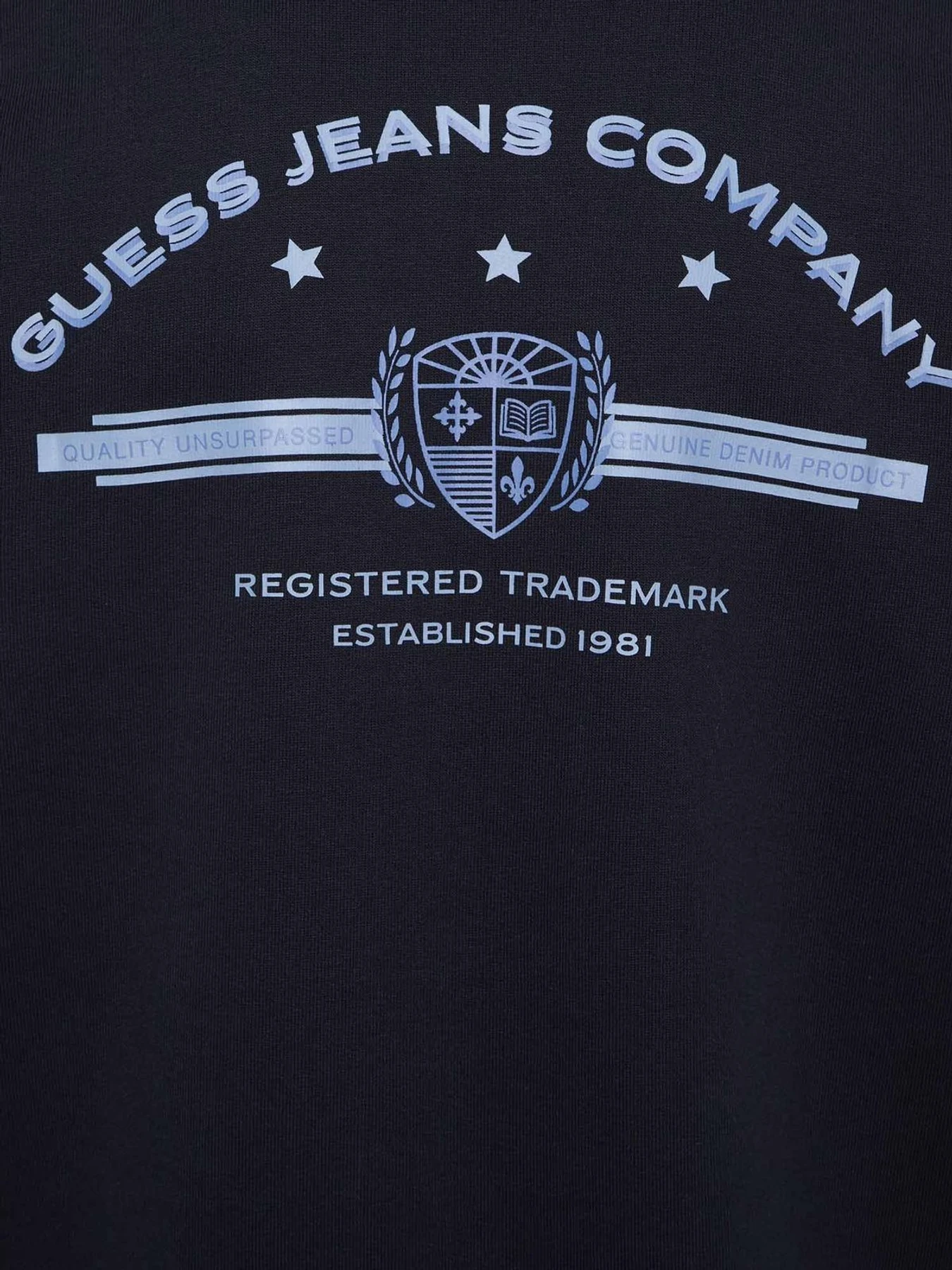 Худі та світшоти Guess Jeans модель M5BQ28.K9V31;A71W Фото