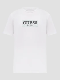 Футболки и поло GUESS модель M5GI19.J1314;G011 Фото