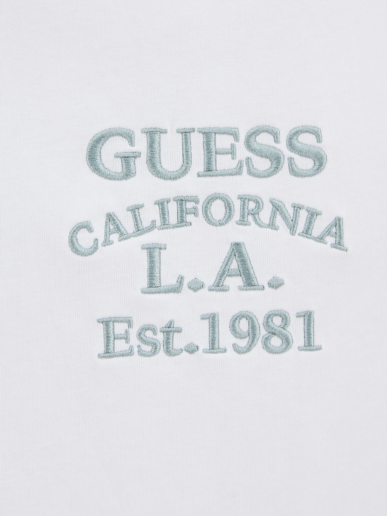 Футболки і поло GUESS модель M5RI35.K8FQ4;G011 Футболки і поло GUESS модель M5RI35.K8FQ4;G011 Фото