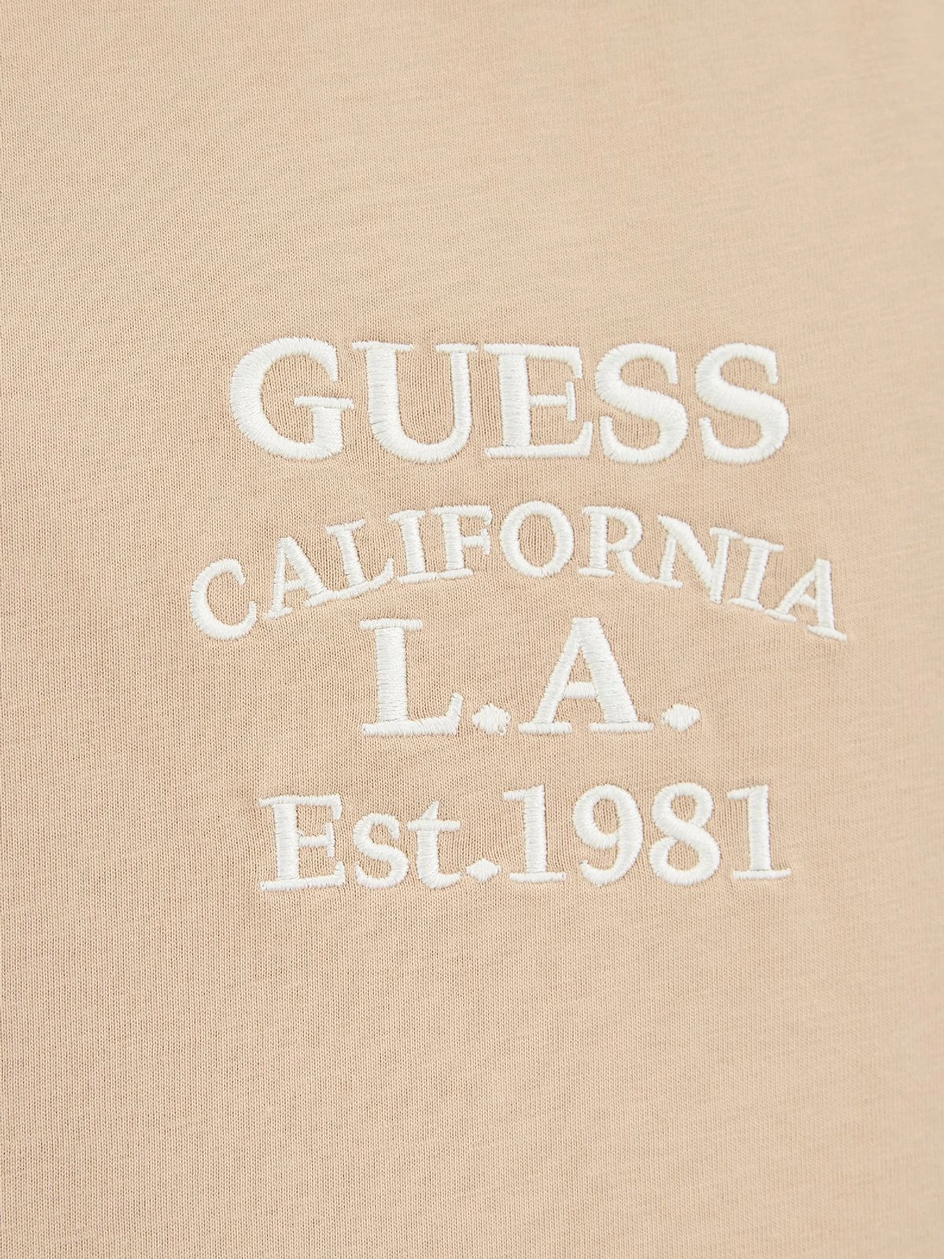 Футболки и поло GUESS модель M5RI35.K8FQ4;G1DR Футболки и поло GUESS модель M5RI35.K8FQ4;G1DR Фото