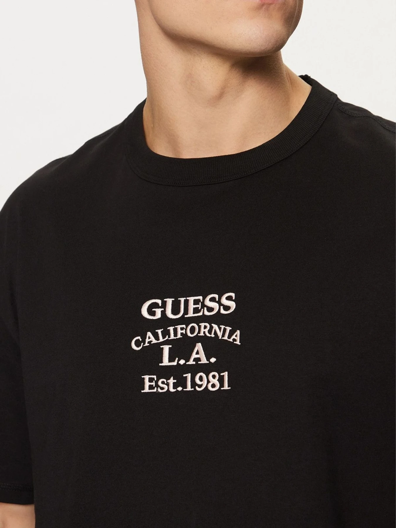 Футболки і поло GUESS модель M5RI35.K8FQ4;JBLK Футболки і поло GUESS модель M5RI35.K8FQ4;JBLK Фото