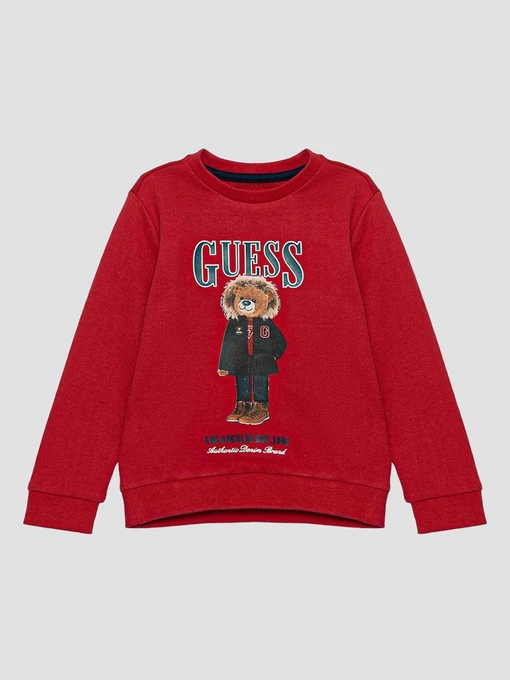 Худи и свитшоты GUESS Kids модель N5BQ07.KAD74;G532 Фото