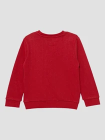 Худи и свитшоты GUESS Kids модель N5BQ07.KAD74;G532 Фото