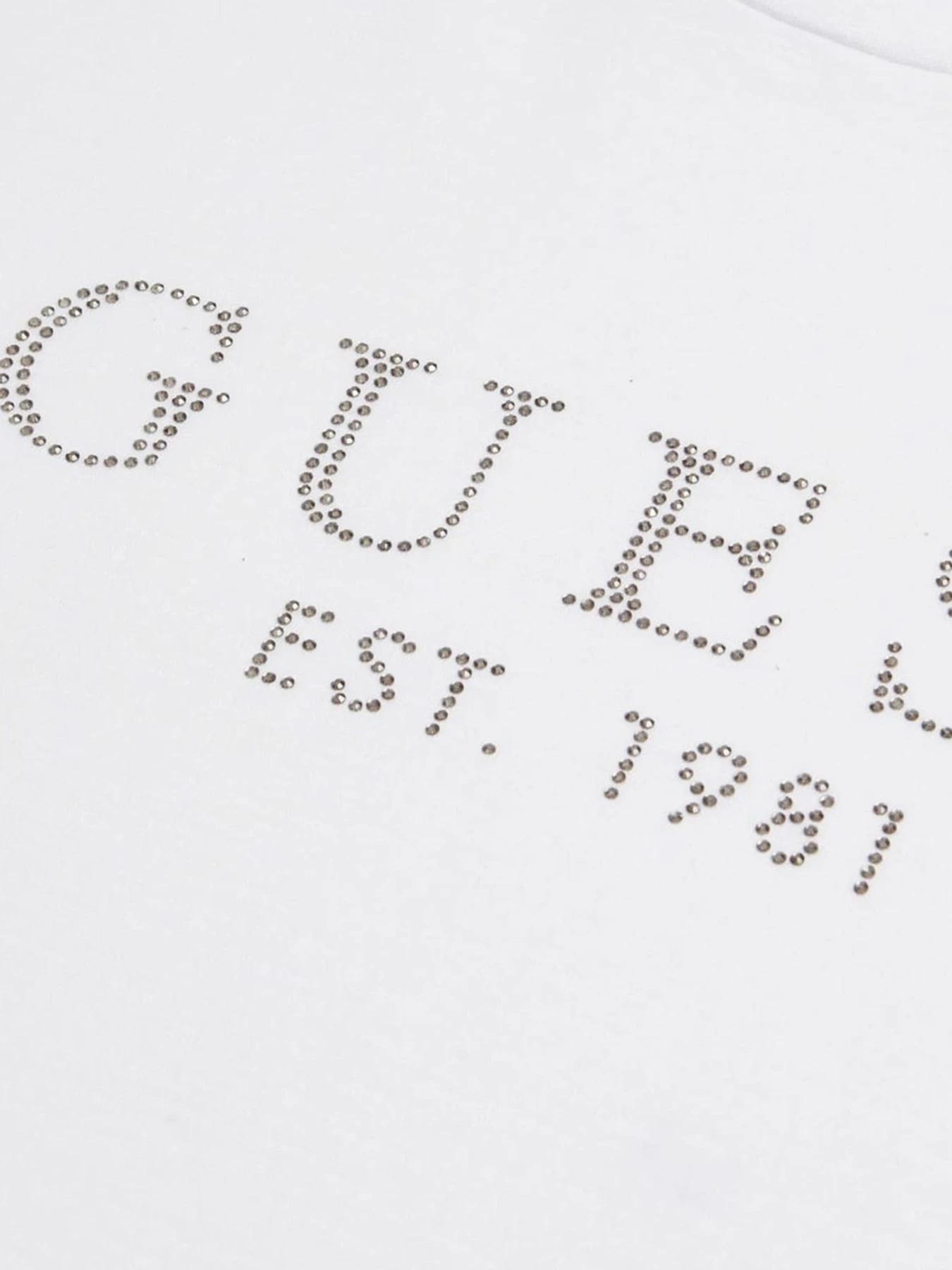 Футболки и поло GUESS модель W3GI76.K8G01;G011 Фото