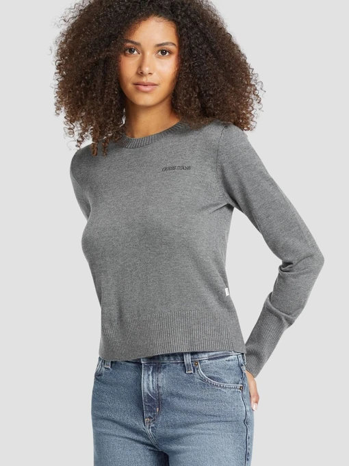 Худи и свитшоты Guess Jeans модель W4BR83.Z3HO2;H91E Фото