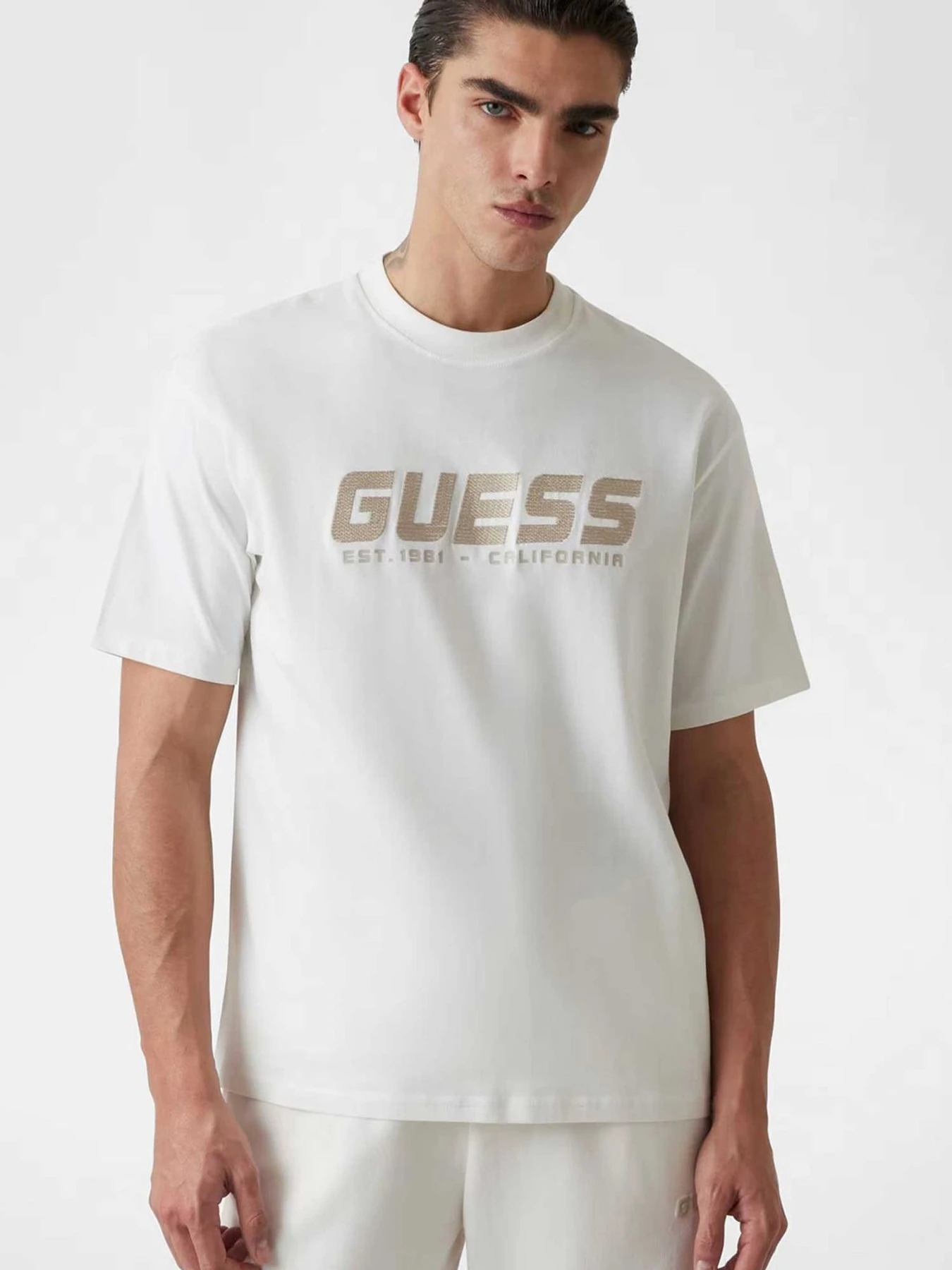 Футболки і поло GUESS модель Z5RI10.I3Z14;G018 Фото