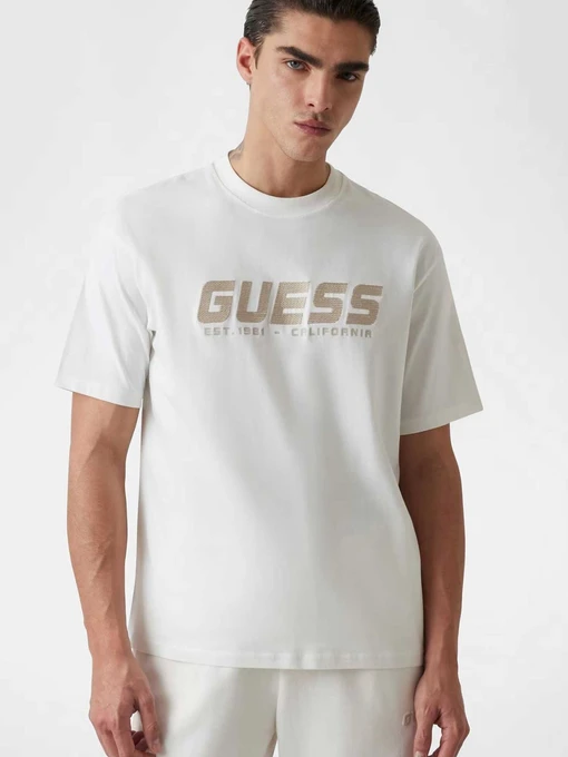 Футболки і поло GUESS модель Z5RI10.I3Z14;G018 Фото