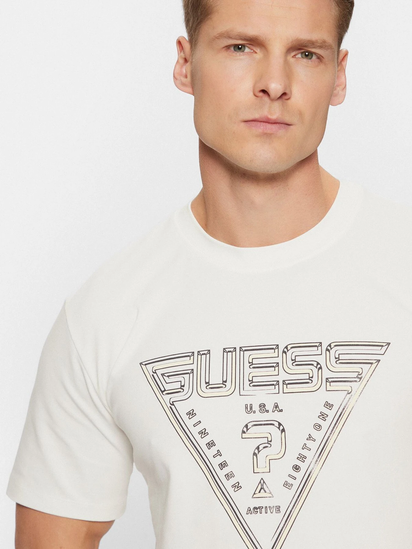 Футболки і поло GUESS модель Z5RI12.J1314;G018 Футболки і поло GUESS модель Z5RI12.J1314;G018 Фото