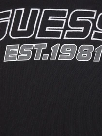Худи и свитшоты GUESS модель Z5YQ02.KCE91;JBLK Фото
