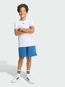 Шорти Adidas ZNE модель KG1002 Фото
