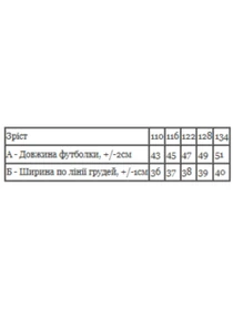 Футболки и поло Носи своє модель 6414-001-33-5-2-chornij-zajka Фото
