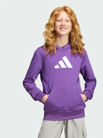 Худи и свитшоты Adidas модель KE5470 Фото