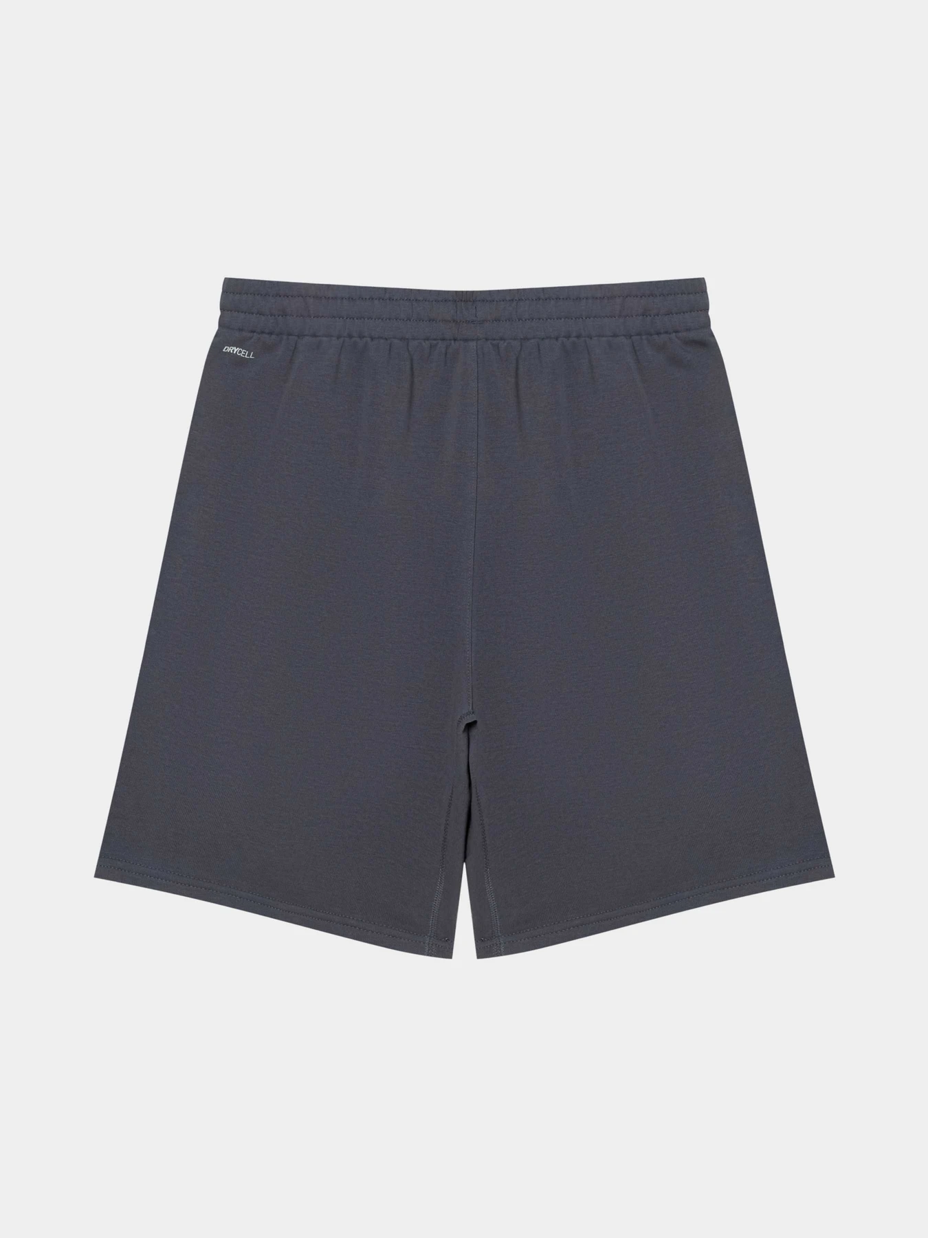 Шорты PUMA Tad Essentials 8 Knit Short модель 525909 Шорты PUMA Tad Essentials 8 Knit Short модель 525909 Фото