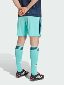 Шорти Adidas модель JN2075 Фото