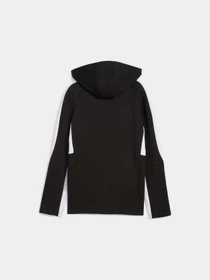 Худи и свитшоты PUMA Teamevostripe Hood Jacket Jr модель 659963 Фото