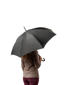 Парасольки Fulton Umbrellas модель L754-028148 Фото