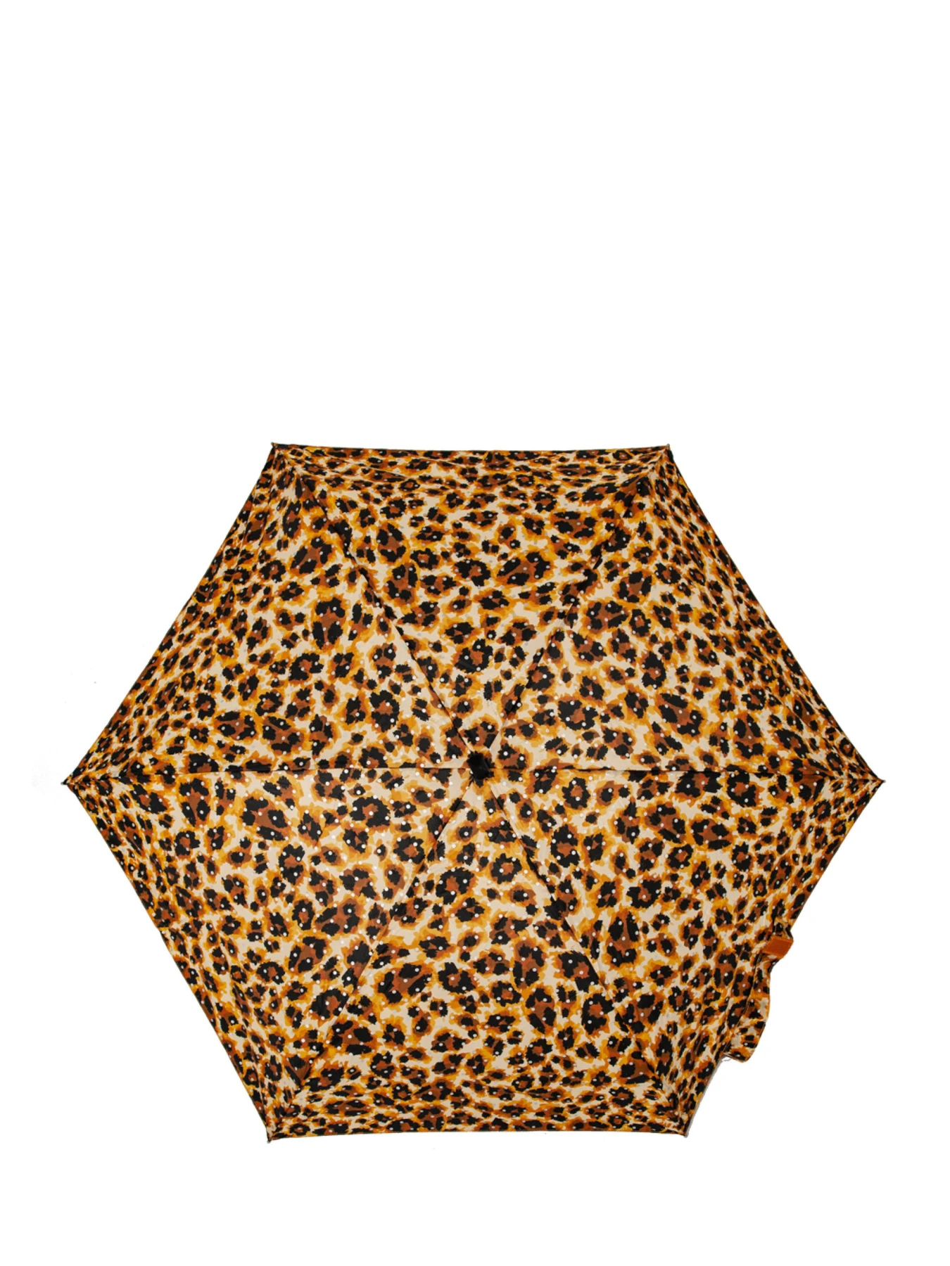 Зонты Fulton Umbrellas Tiny-2 модель L501-037621 Фото