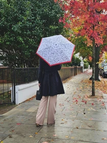 Зонты Fulton Umbrellas модель L501-041871 Фото