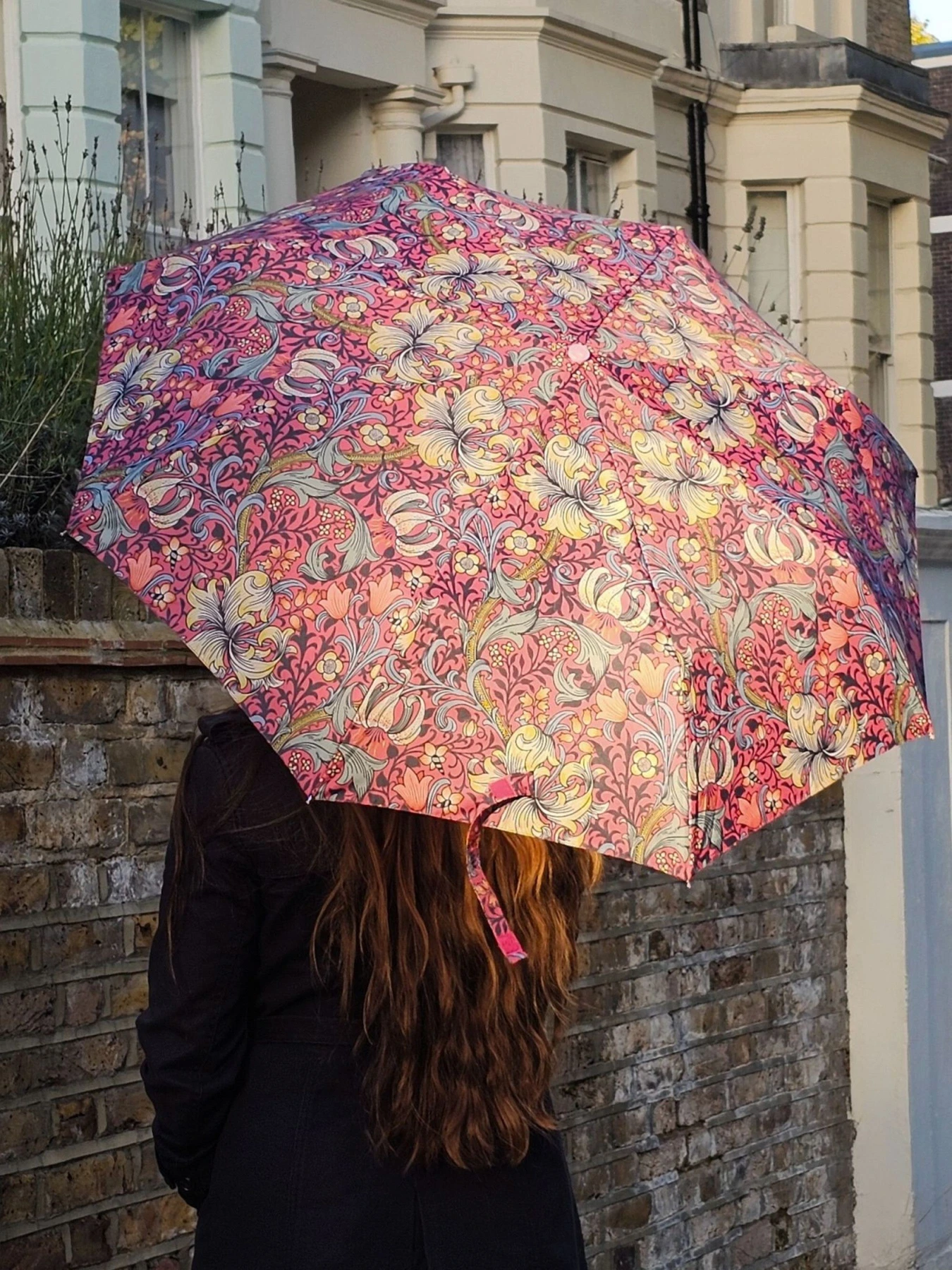 Зонты Fulton Umbrellas модель L907-041819 Фото