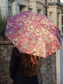 Зонты Fulton Umbrellas модель L907-041819 Фото