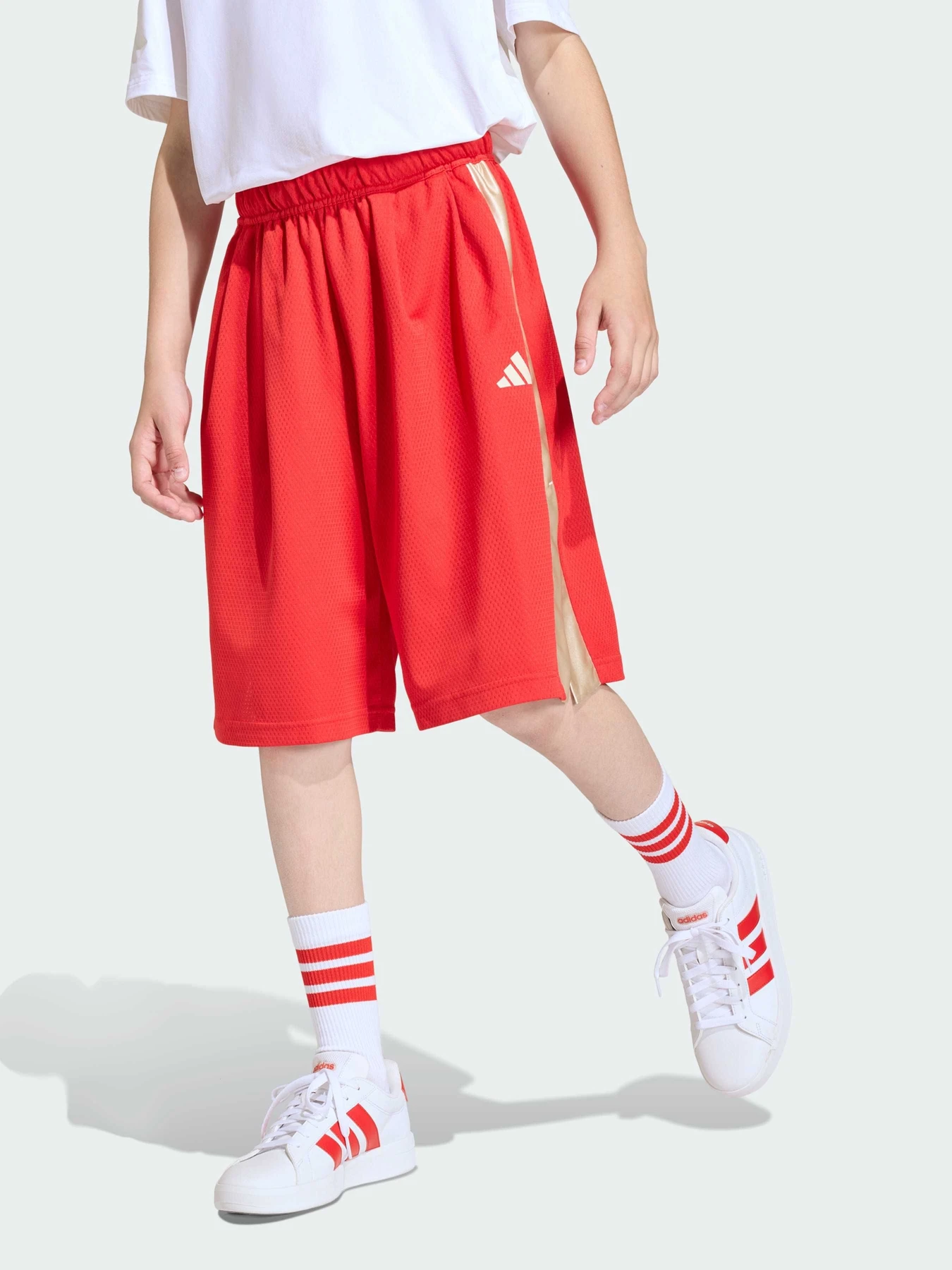 Шорты Adidas модель KD3409 Фото