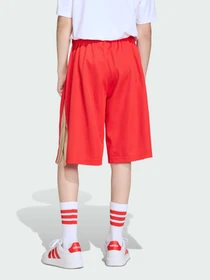 Шорты Adidas модель KD3409 Фото