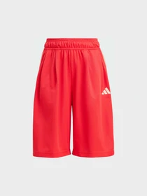 Шорты Adidas модель KD3409 Фото