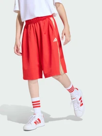 Шорты Adidas модель KD3409 Фото