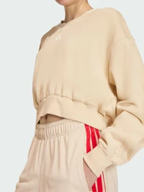 Худи и свитшоты Adidas модель JY6969 Фото