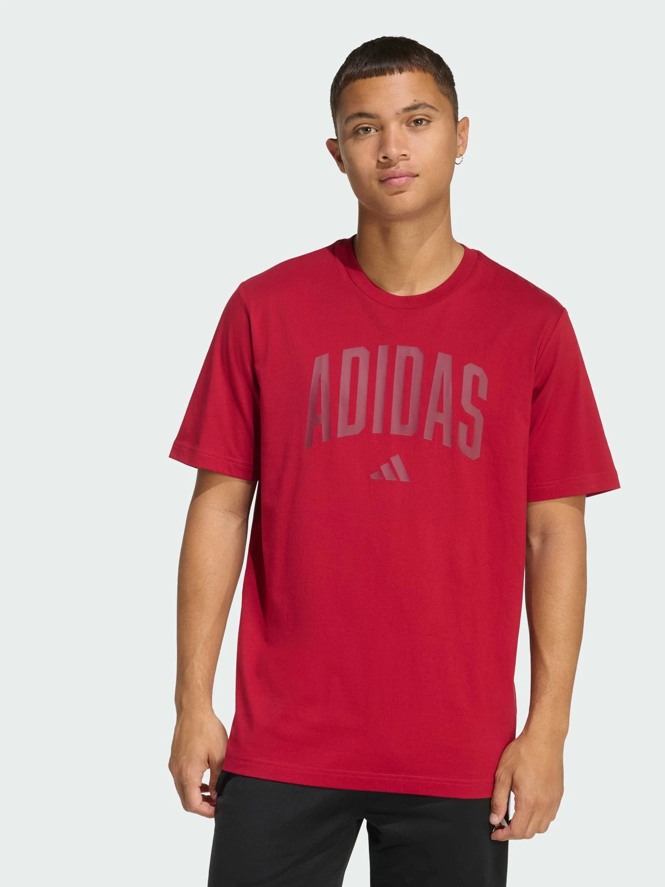 Футболки і поло Adidas модель KH4593 Фото