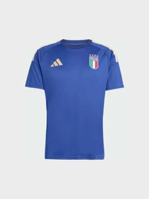 Футболки и поло Adidas модель JY7588 Фото