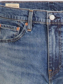 Джинси Levi's модель 28833;1422 Фото