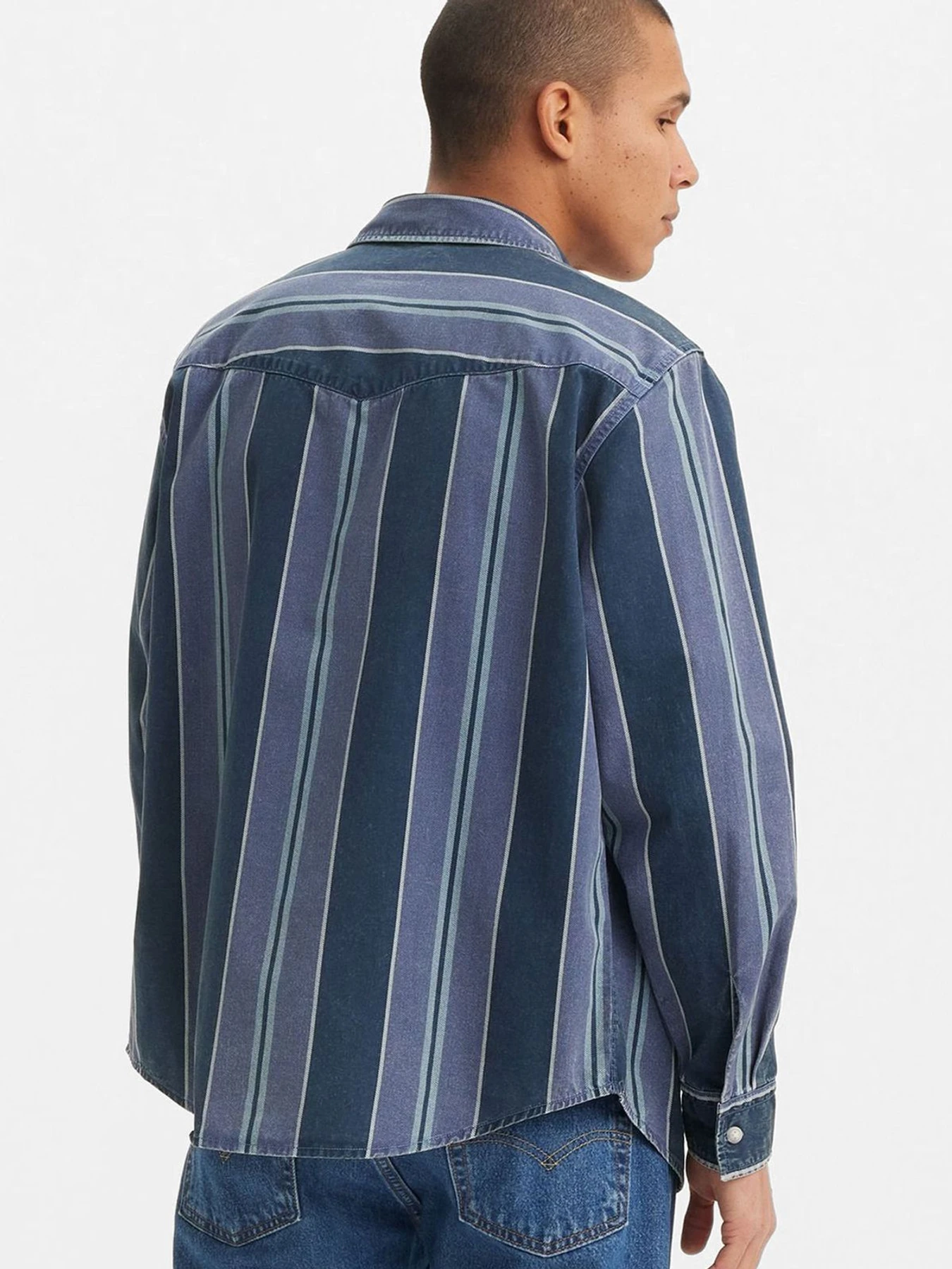 Рубашки Levi's модель A1919;0040 Фото