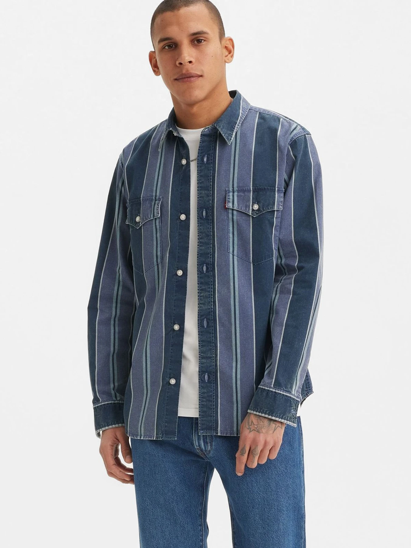 Рубашки Levi's модель A1919;0040 Фото